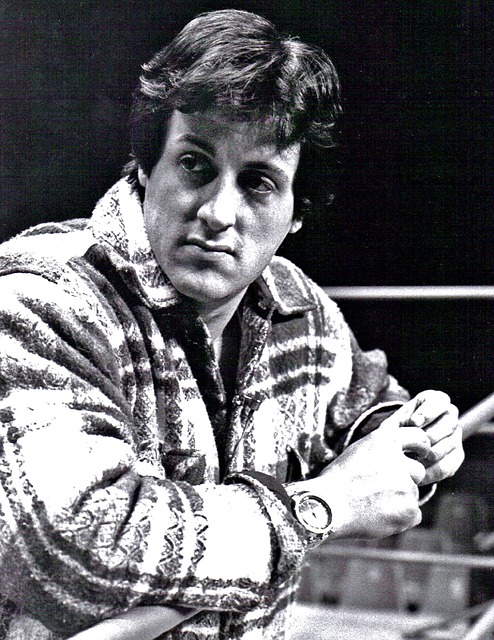 sylvester-stallone-399416_640